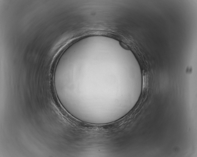 X0000114080243200910051007