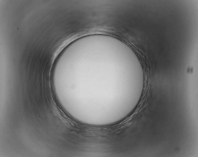 X0000114080244200910051007