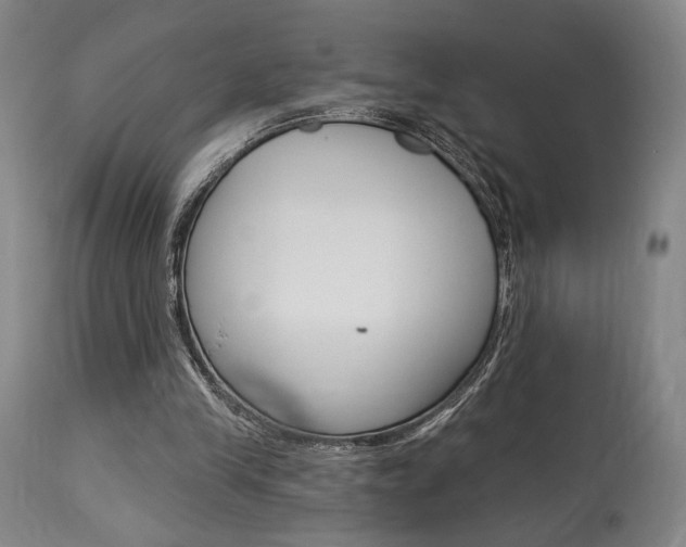 X0000114080245200910051007