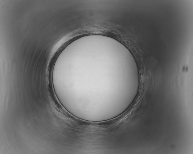 X0000114080246200910051007