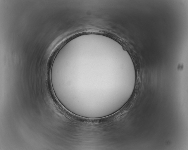 X0000114080247200910051007
