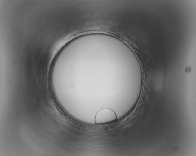 X0000114080248200910051007