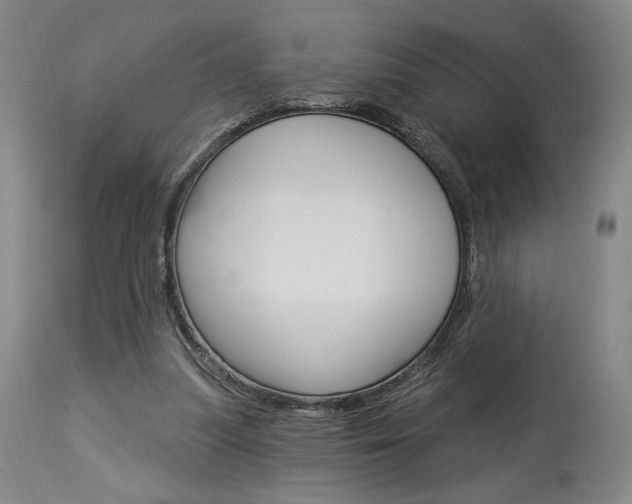 X0000114080251200910051007