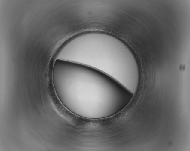 X0000114080252200910051007