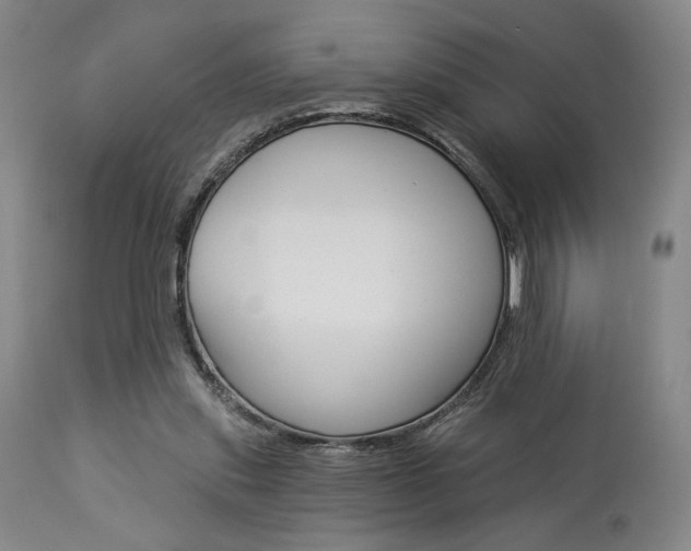 X0000114080253200910051007