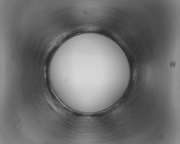 X0000114080254200910051007