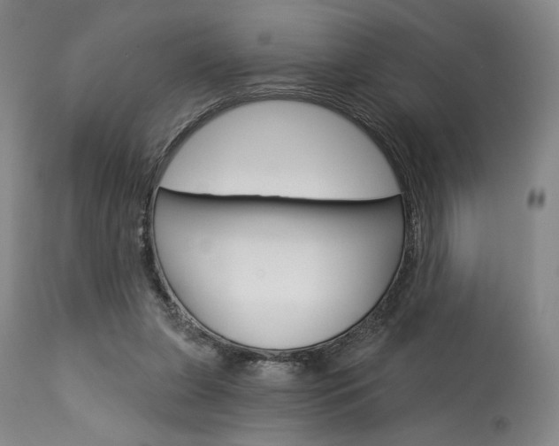 X0000114080255200910051007