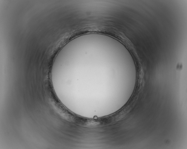 X0000114080257200910051007