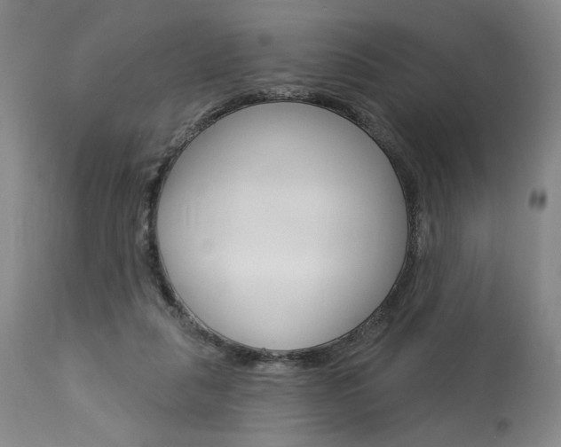 X0000114080259200910051007