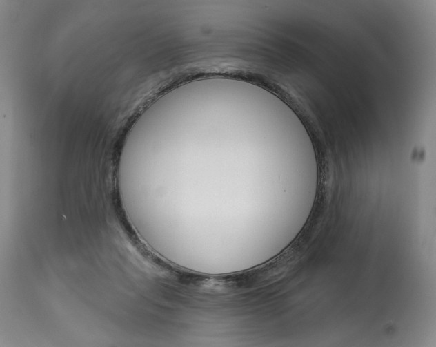 X0000114080261200910051007