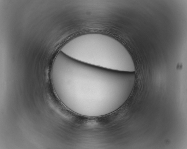 X0000114080262200910051007