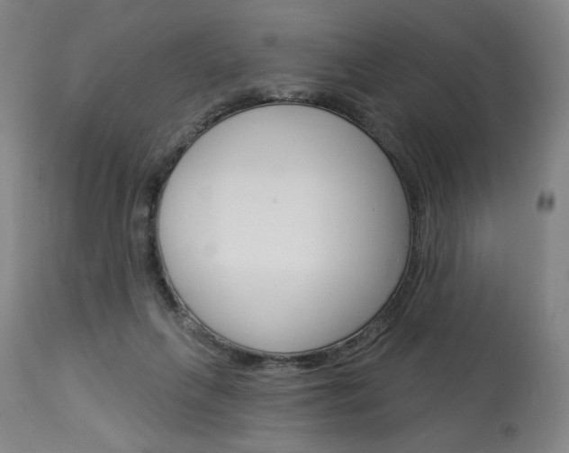 X0000114080263200910051007