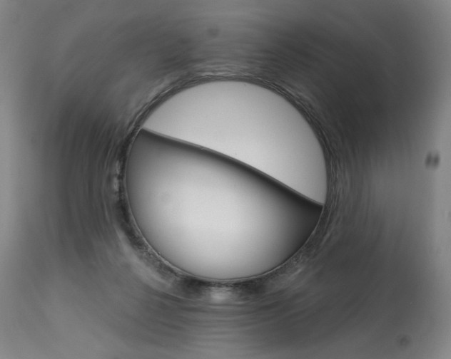 X0000114080264200910051007