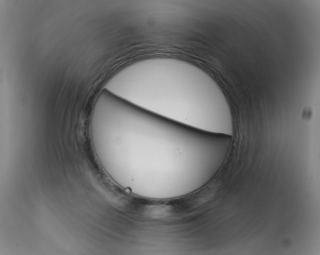X0000114080266200910051008