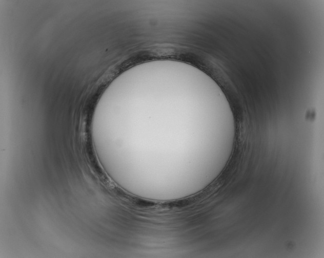 X0000114080267200910051008