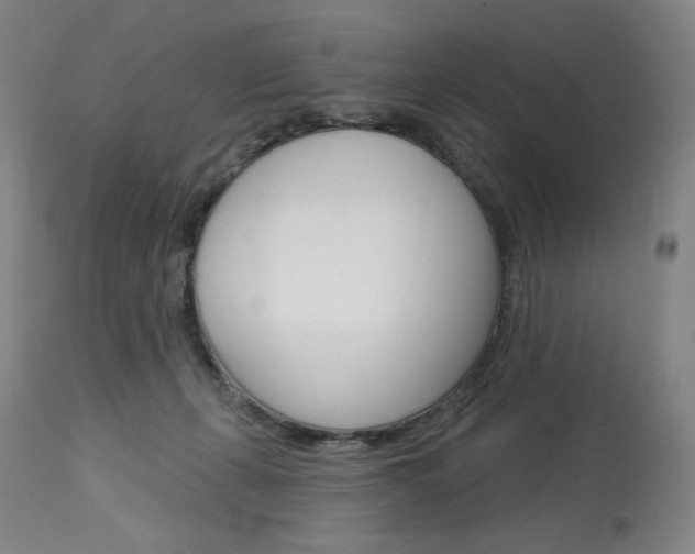 X0000114080271200910051008