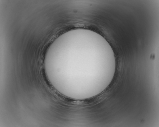 X0000114080273200910051008