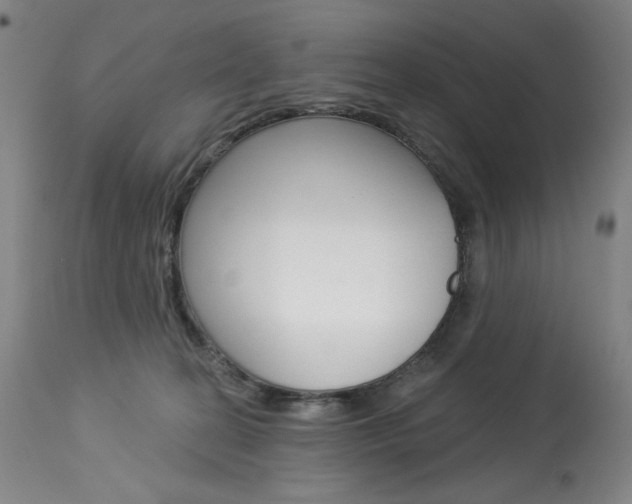 X0000114080274200910051008