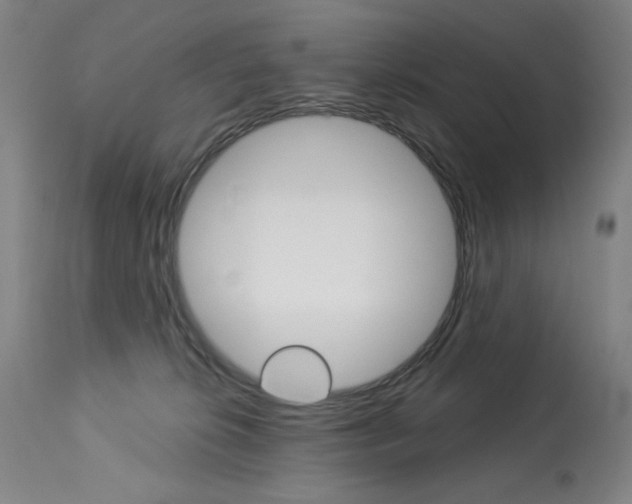 X0000114080276200910051008