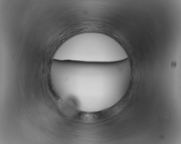 X0000114080277200910051008
