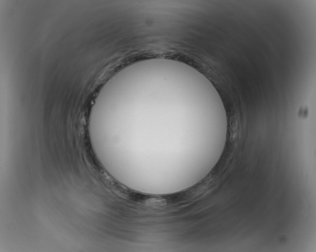 X0000114080279200910051008
