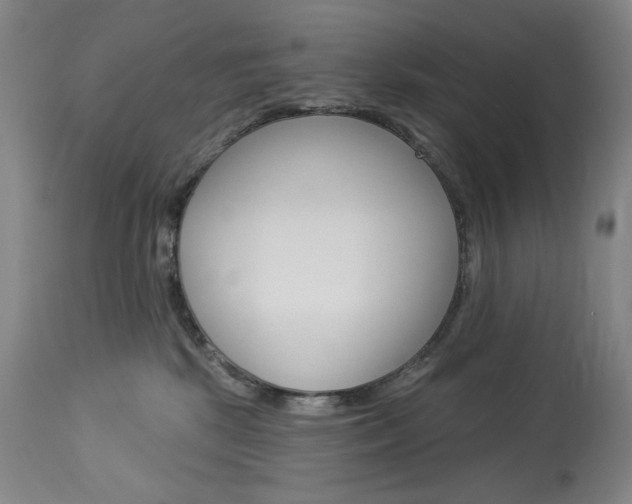 X0000114080281200910051008