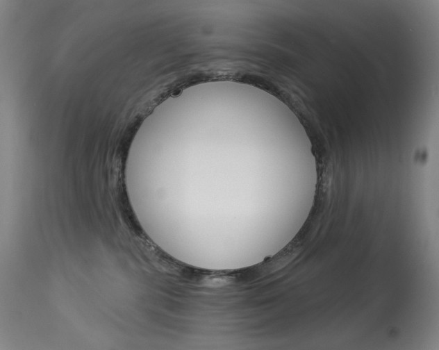 X0000114080283200910051008
