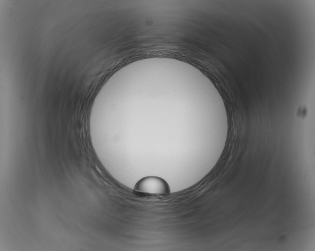 X0000114080284200910051008