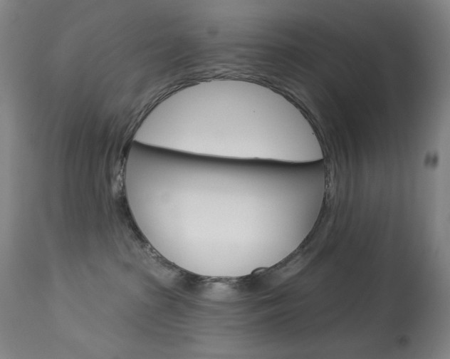 X0000114080285200910051008