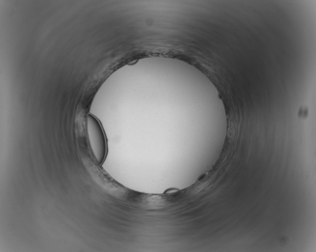 X0000114080287200910051008
