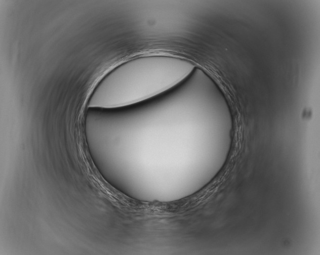 X0000114080289200910051007