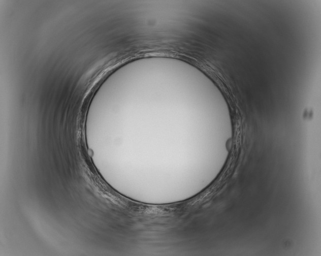 X0000114080290200910051007