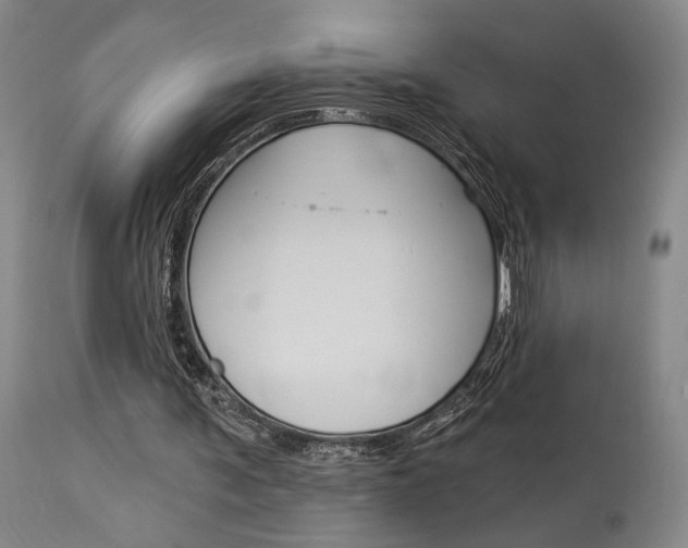 X0000114080291200910051007