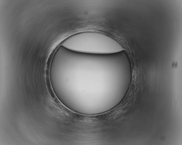 X0000114080292200910051007