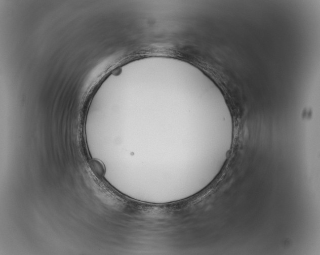 X0000114080293200910051007