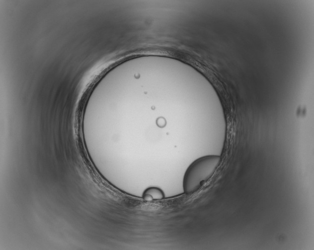 X0000114080294200910051007
