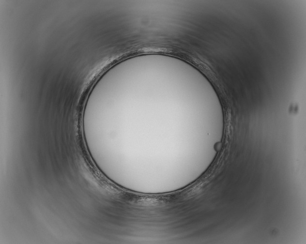 X0000114080298200910051007
