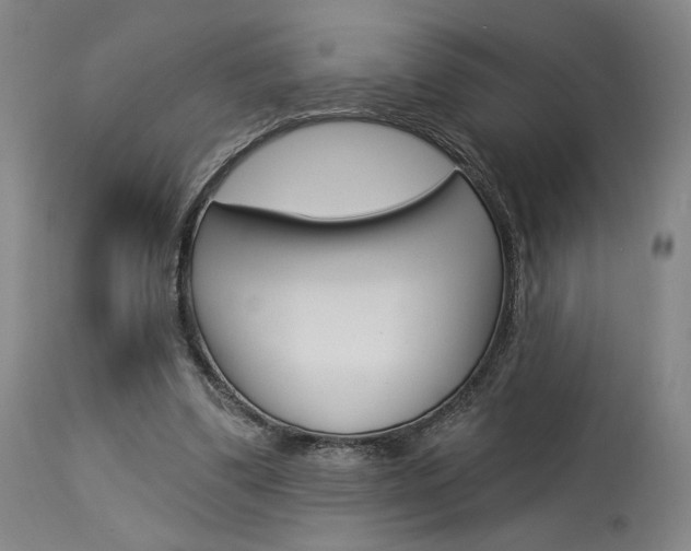 X0000114080299200910051007