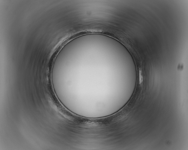 X0000114080300200910051007