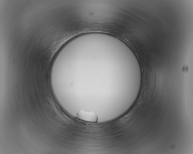 X0000114080301200910051007