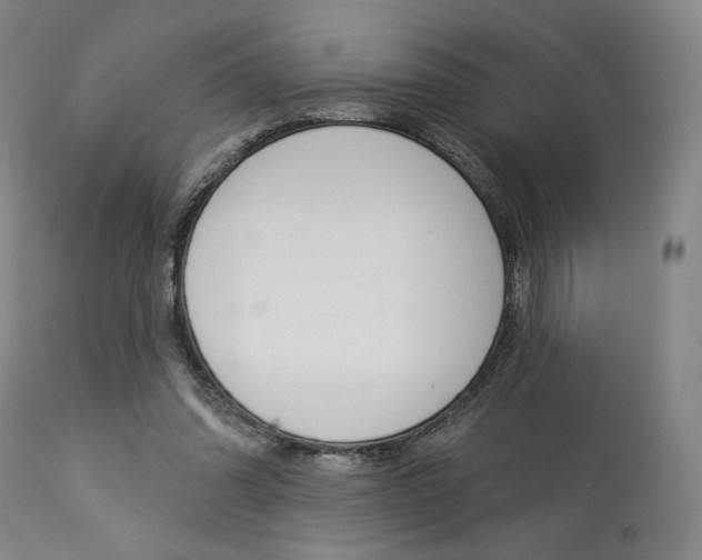 X0000114080302200910051007