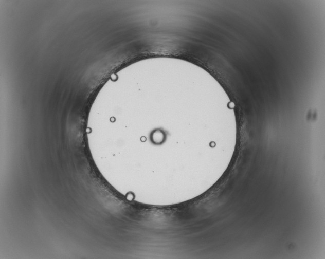 X0000114080305200910051007
