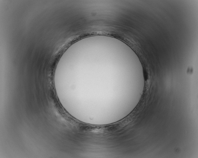 X0000114080306200910051007