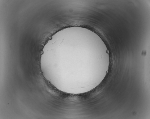 X0000114080307200910051007
