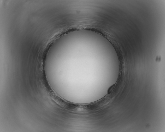 X0000114080308200910051007