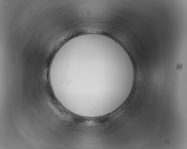 X0000114080310200910051007