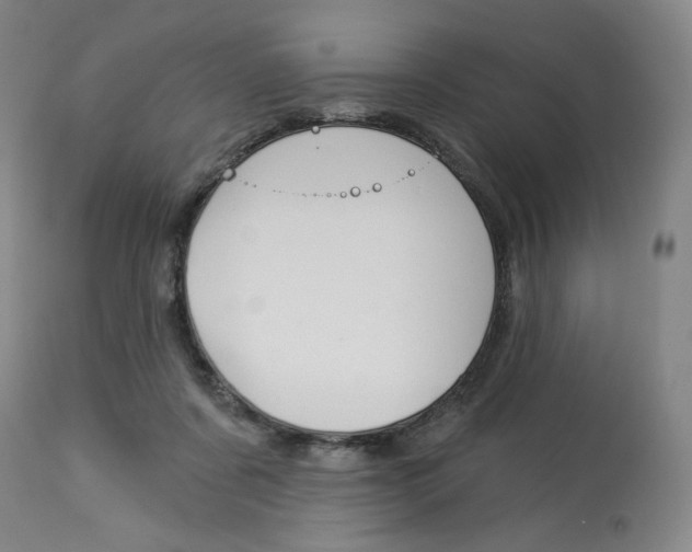 X0000114080311200910051007