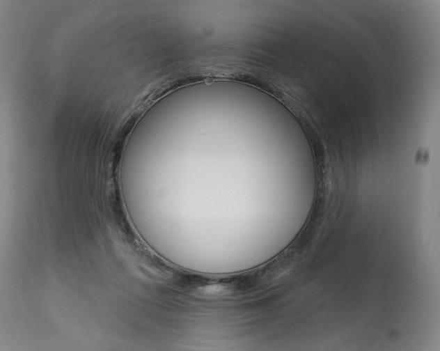 X0000114080312200910051007