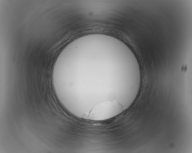 X0000114080313200910051007