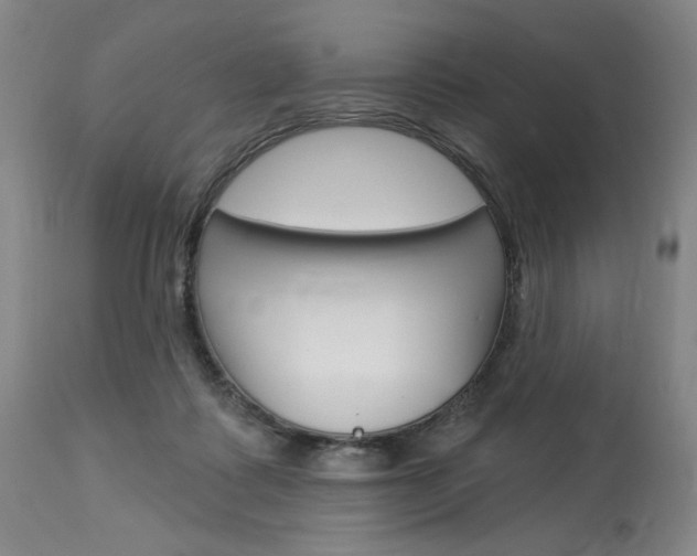 X0000114080315200910051007